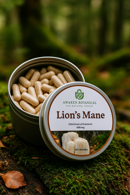 Lion’s Mane Capsules – Cognitive Clarity & Nerve Support