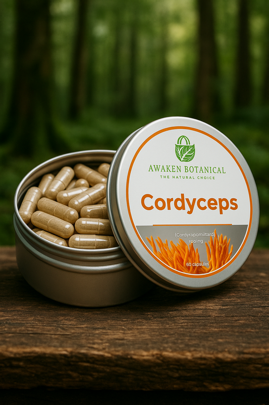 Cordyceps Militaris 550mg Capsules – Pure Energy from Nature’s Peak Performer