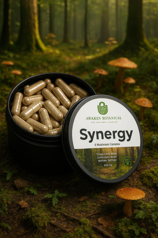 Synergy 6 Functional Mushroom Complex